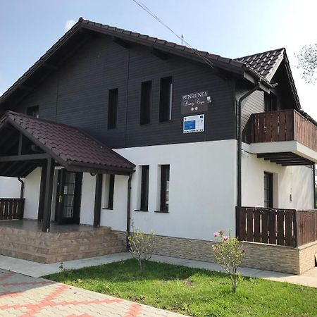 Pensiunea Dany - Crys Zvoristea Ngoại thất bức ảnh