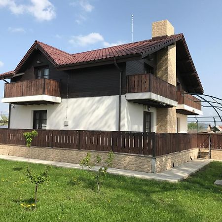 Pensiunea Dany - Crys Zvoristea Ngoại thất bức ảnh