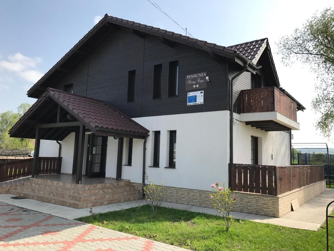 Pensiunea Dany - Crys Zvoristea Ngoại thất bức ảnh